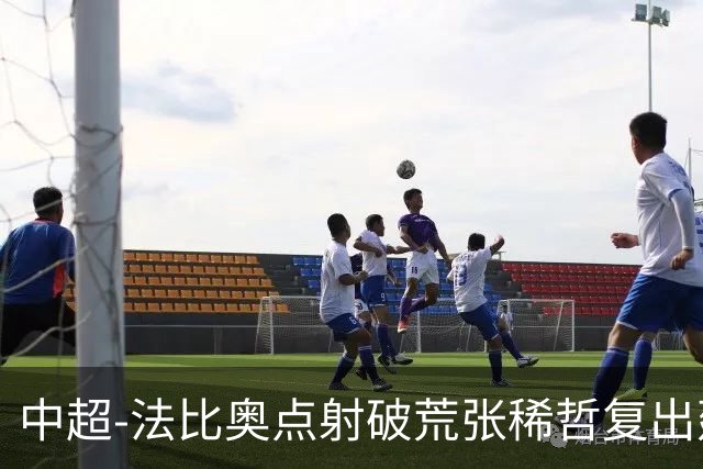 中超-法比奥点射破荒张稀哲复出建功 国安2-1浙江队6轮不败